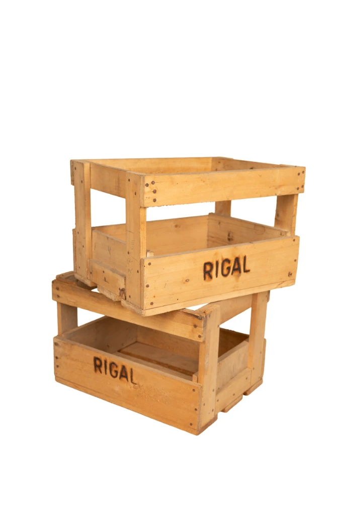 Remix-animations-fond-blanc (46).webp